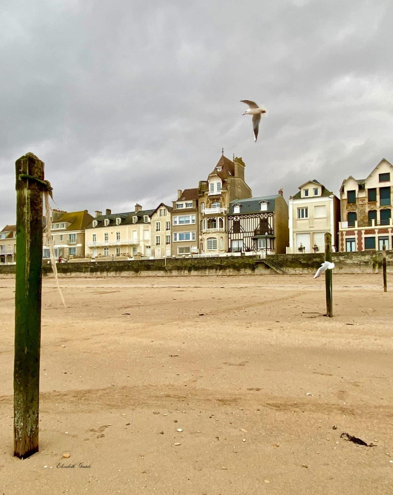 Saint-Aubin-Sur-Mer: Bel Appartement Traversant Eksteriør bilde
